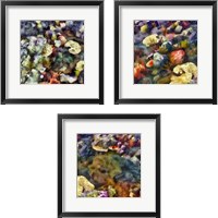 Framed 'Sea Life 3 Piece Framed Art Print Set' border=