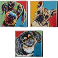 Framed 'Chroma Dogs 3 Piece Canvas Print Set' border=