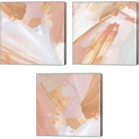 Framed 'Pink Vanilla 3 Piece Canvas Print Set' border=