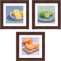 Framed 'Still Citrus 3 Piece Framed Art Print Set' border=