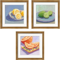 Framed 'Still Citrus 3 Piece Framed Art Print Set' border=