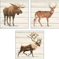 Framed 'Northern Wild 3 Piece Art Print Set' border=