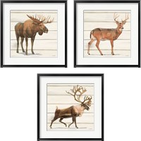 Framed 'Northern Wild 3 Piece Framed Art Print Set' border=