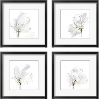 Framed 'Cool Gray 4 Piece Framed Art Print Set' border=