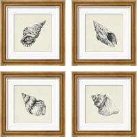 Framed 'Seashell Pencil Sketch 4 Piece Framed Art Print Set' border=