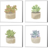 Framed 'Simple Succulent 4 Piece Canvas Print Set' border=