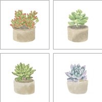 Framed 'Simple Succulent 4 Piece Art Print Set' border=