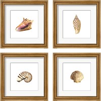 Framed 'Oceanum Shells White 4 Piece Framed Art Print Set' border=