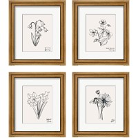 Framed 'Annual Flowers 4 Piece Framed Art Print Set' border=