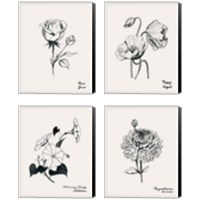 Framed 'Annual Flowers 4 Piece Canvas Print Set' border=