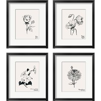 Framed 'Annual Flowers 4 Piece Framed Art Print Set' border=