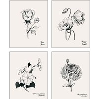 Framed 'Annual Flowers 4 Piece Art Print Set' border=