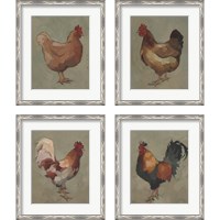 Framed 'Egg Hen 4 Piece Framed Art Print Set' border=