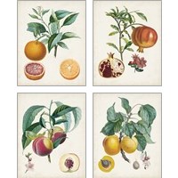 Framed 'Vintage Fruit 4 Piece Art Print Set' border=