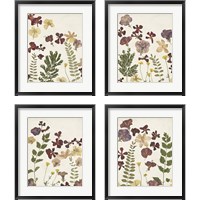 Framed 'Pressed Flower Arrangement 4 Piece Framed Art Print Set' border=