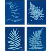 Framed 'Cyanotype Ferns 4 Piece Art Print Set' border=