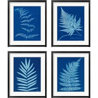 Framed 'Cyanotype Ferns 4 Piece Framed Art Print Set' border=