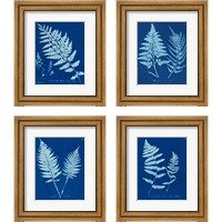 Framed 'Cyanotype Ferns 4 Piece Framed Art Print Set' border=