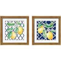 Framed 'Everyday Chinoiserie Lemons 2 Piece Framed Art Print Set' border=