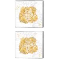 Framed 'Golden Coral 2 Piece Canvas Print Set' border=
