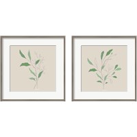 Framed 'Wispy Leaf 2 Piece Framed Art Print Set' border=