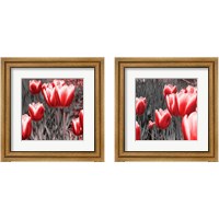 Framed 'Red Tulips 2 Piece Framed Art Print Set' border=