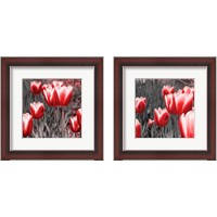 Framed 'Red Tulips 2 Piece Framed Art Print Set' border=