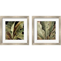 Framed 'Uraba Palm on Black 2 Piece Framed Art Print Set' border=