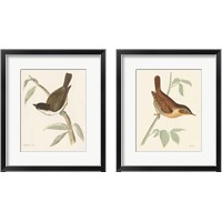 Framed Engraved Birds 2 Piece Framed Art Print Set