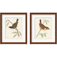 Framed Engraved Birds 2 Piece Framed Art Print Set