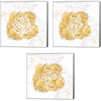 Framed 'Golden Coral 3 Piece Canvas Print Set' border=