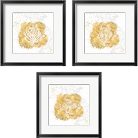 Framed 'Golden Coral 3 Piece Framed Art Print Set' border=