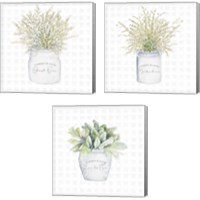 Framed 'Garden Plants 3 Piece Canvas Print Set' border=