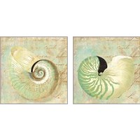 Framed 'Sea Life 2 Piece Art Print Set' border=