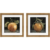 Framed 'Dark Orange Deux 2 Piece Framed Art Print Set' border=