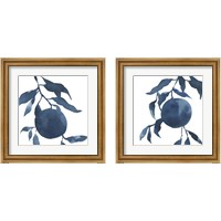 Framed 'Indigo Oranges 2 Piece Framed Art Print Set' border=