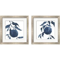 Framed 'Indigo Oranges 2 Piece Framed Art Print Set' border=