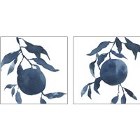 Framed 'Indigo Oranges 2 Piece Art Print Set' border=