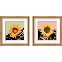 Framed 'Pop Art Sunflower 2 Piece Framed Art Print Set' border=