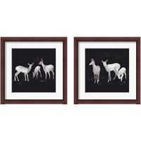 Framed 'Sophisticated Whitetail 2 Piece Framed Art Print Set' border=