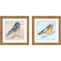 Framed 'Bird Variety 2 Piece Framed Art Print Set' border=