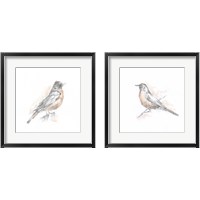 Framed 'Robin Bird Sketch 2 Piece Framed Art Print Set' border=