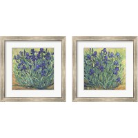 Framed 'Irises in Bloom 2 Piece Framed Art Print Set' border=