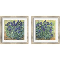 Framed 'Irises in Bloom 2 Piece Framed Art Print Set' border=