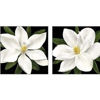 Framed 'Midnight Magnolia 2 Piece Art Print Set' border=