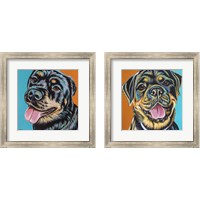 Framed 'Rottweiler  2 Piece Framed Art Print Set' border=