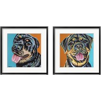 Framed 'Rottweiler  2 Piece Framed Art Print Set' border=