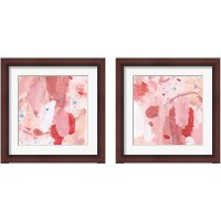 Framed 'Pink Sky 2 Piece Framed Art Print Set' border=