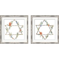 Framed 'Adorned Star 2 Piece Framed Art Print Set' border=