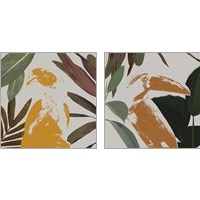 Framed 'Graphic Tropical Bird  2 Piece Art Print Set' border=